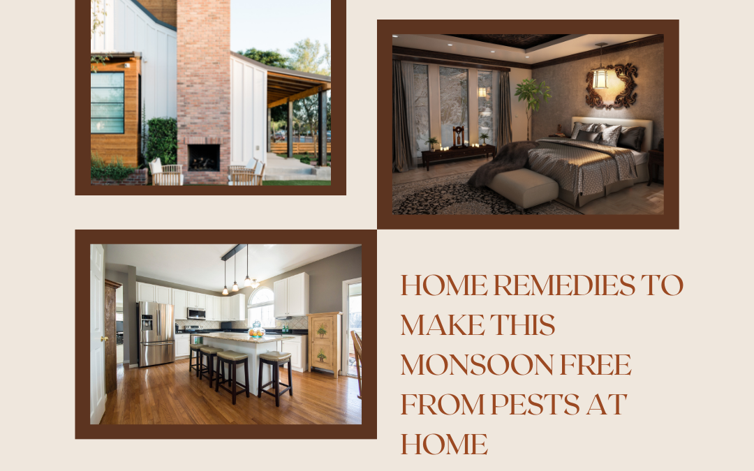 Home remedies to make this monsoon free from pests at home