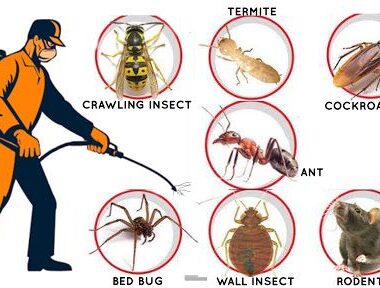 Types of Pest Control Methods