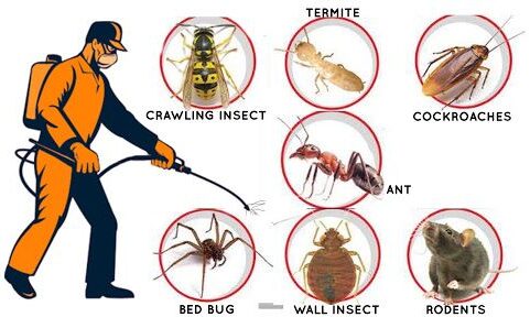 Types of Pest Control Methods