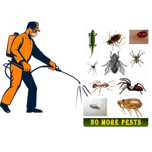 Act Pest Control For Apartment Complexes