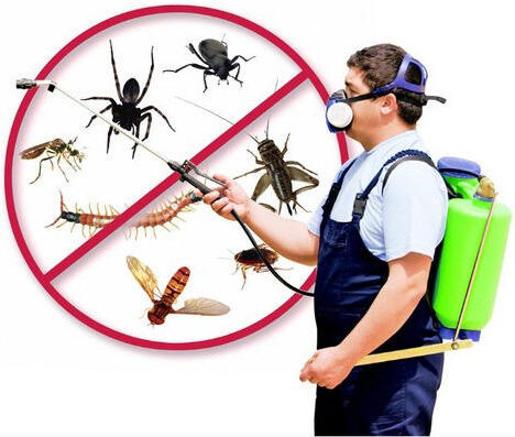 pest control company