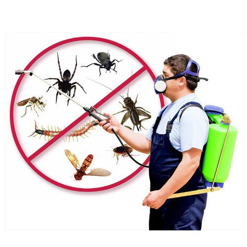 pest control company