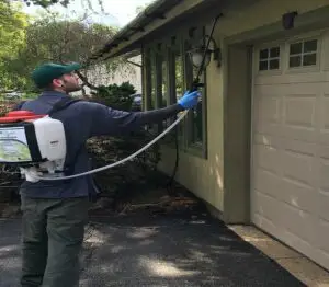 What Safety Precautions to Take While Doing Pest Control