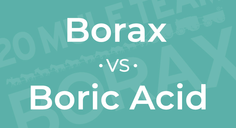 Borax acid vs Boric Acid