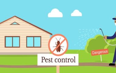 What Safety Precautions to Take While Doing Pest Control