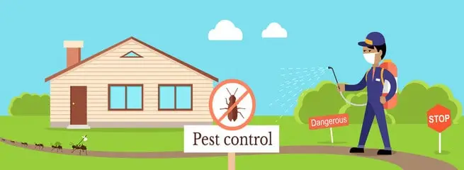 What Safety Precautions to Take While Doing Pest Control