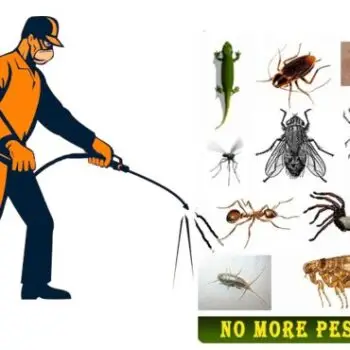 pest-control-service-gurugram