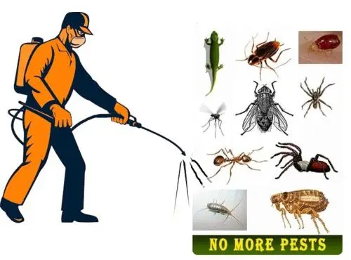 pest-control-service-gurugram